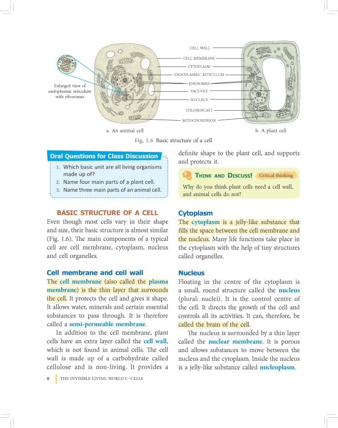 RATNA SAGAR LIVING SCIENCE CLASS 8
