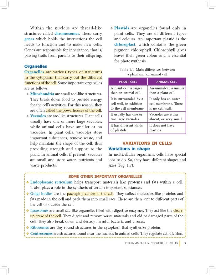 RATNA SAGAR LIVING SCIENCE CLASS 8