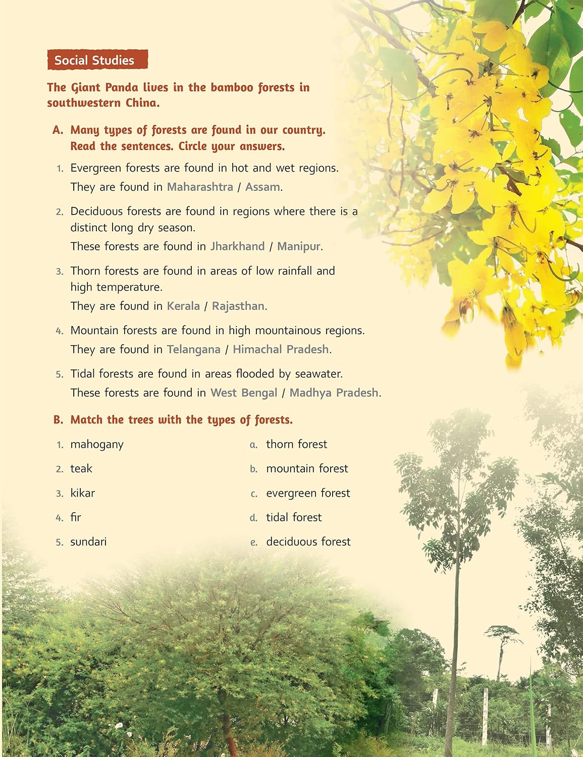 RATNA SAGAR MY BOOK OF INTEGRATED LEARNING CLASS 4