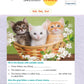 RATNA SAGAR INTERACTIVE GRAMMAR AND MORE -4