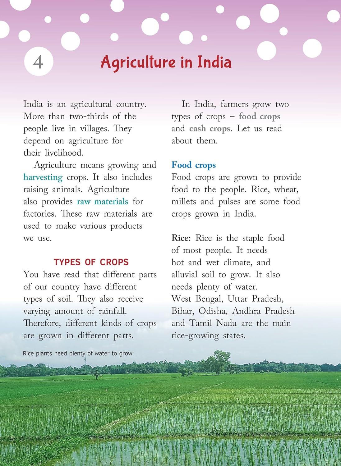 RATNA SAGAR FOCUS SOCIAL STUDIES CLASS 4