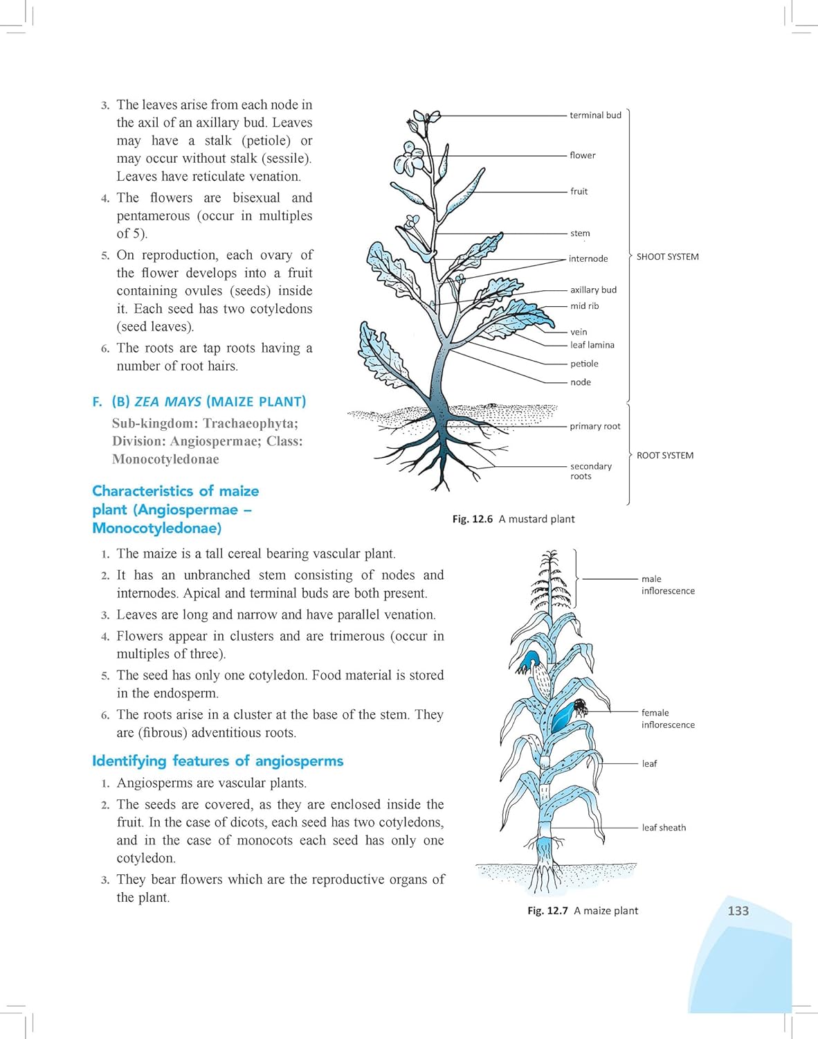 RATNA SAGAR LIVING SCIENCE LAB MANUAL CLASS 9