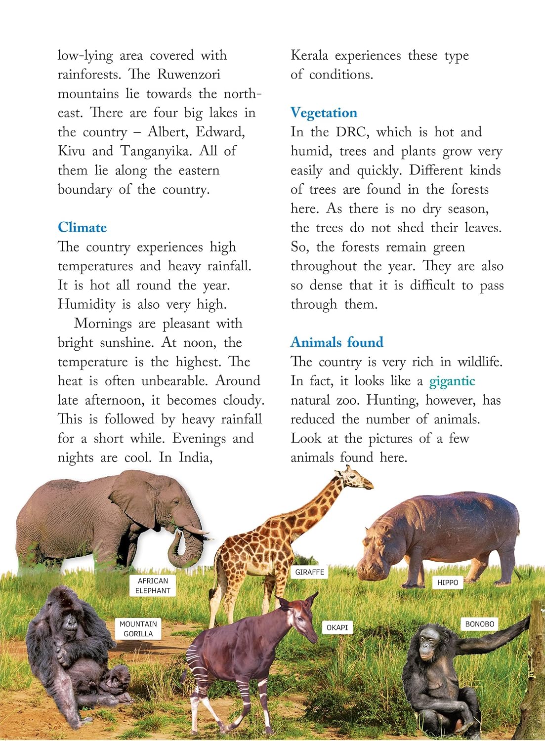 RATNA SAGAR FOCUS SOCIAL STUDIES CLASS 5