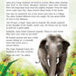 RATNA SAGAR INTERACTIVE GRAMMAR AND MORE CLASS 3