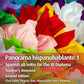 Panorama hispanohablante  1 Teacher's Resource with Digital Access  2/E