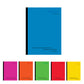 DOMS Premium Range Unruled- 24 x 18Cm Notebook(Neon Series) – 100 Pages